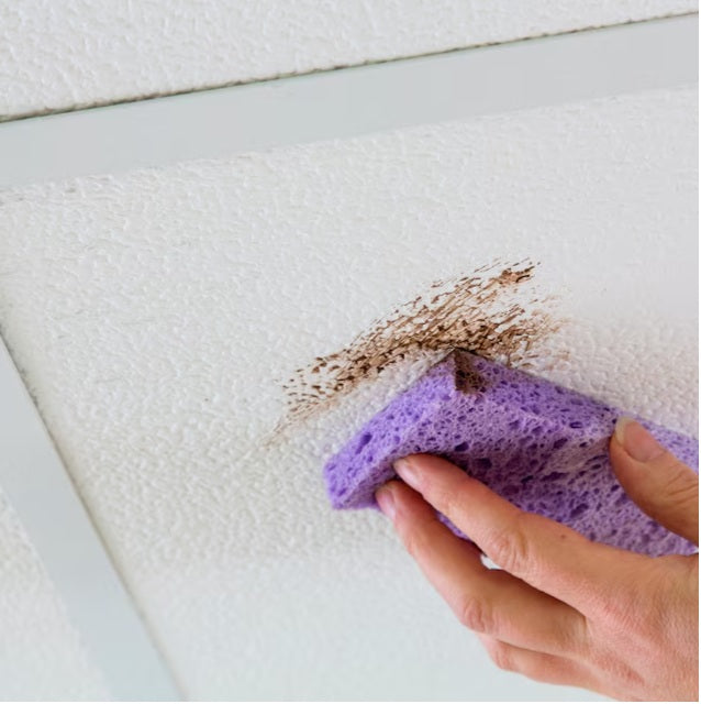 Genesis 2-ft x 2-ft Smooth Pro White PVC Drop Ceiling Tile ( 4-sq ft / Case )