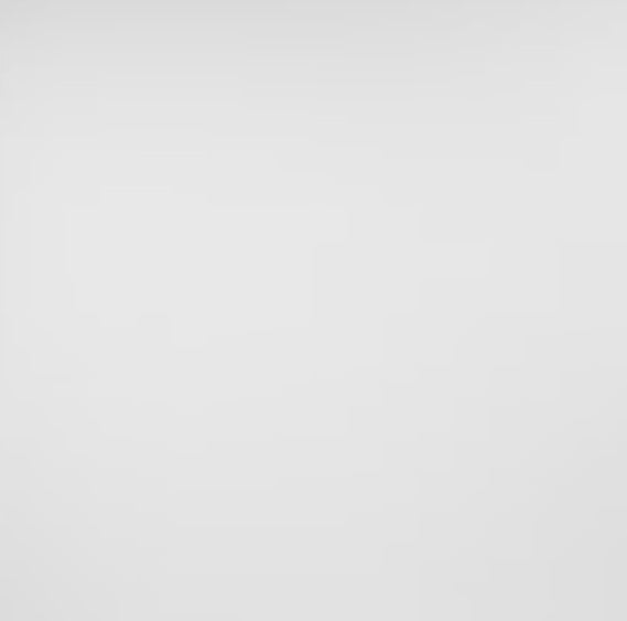 Genesis 2-ft x 2-ft Smooth Pro White PVC Drop Ceiling Tile ( 4-sq ft / Case )