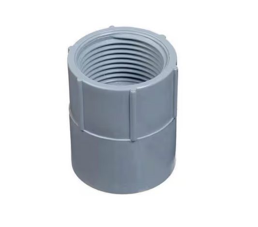 Carlon 3/4 in. Electrical PVC Female Adapter (E942E-20-HD)