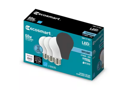 EcoSmart 60-Watt Equivalent A19 Dimmable Frosted Glass Filament LED Light Bulb Daylight (4-Pack)