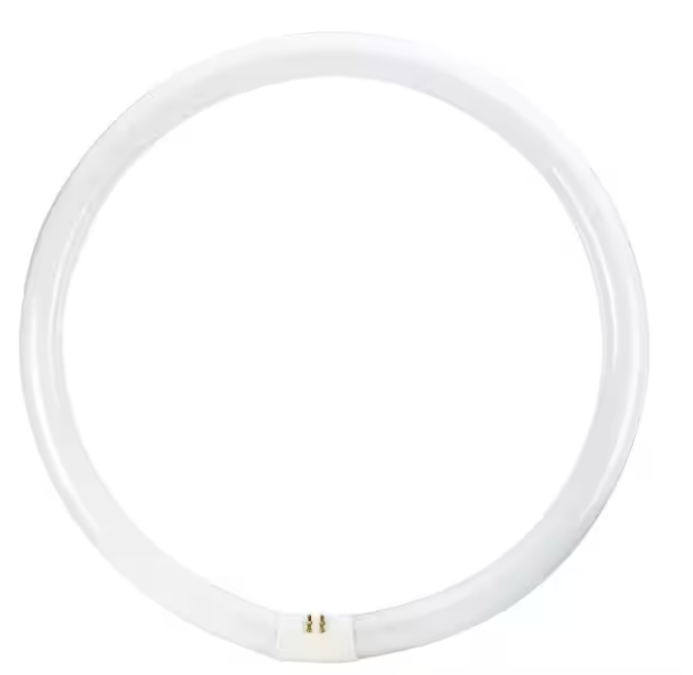 Philips 40-Watt 16 in. Linear Circline T9 Fluorescent Tube Light Bulb Cool White (4100K) (1-Pack)